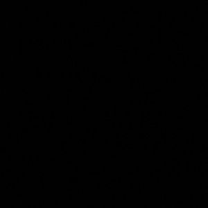 Meet your Posher, Phillip